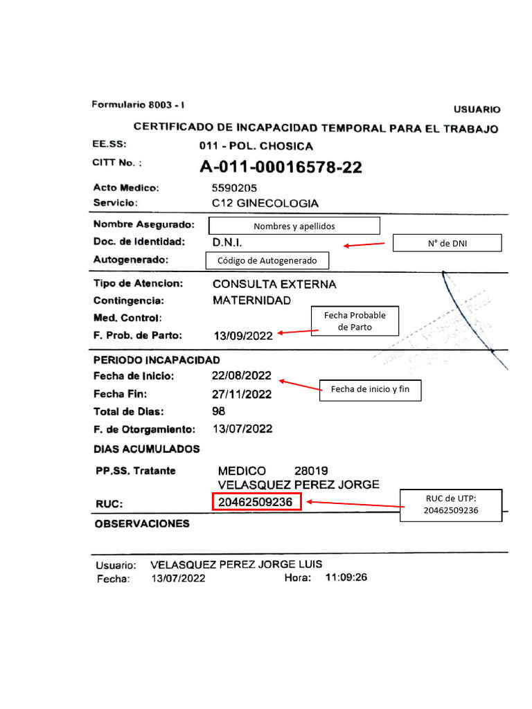 Modelo de CITT Maternidad | PDF