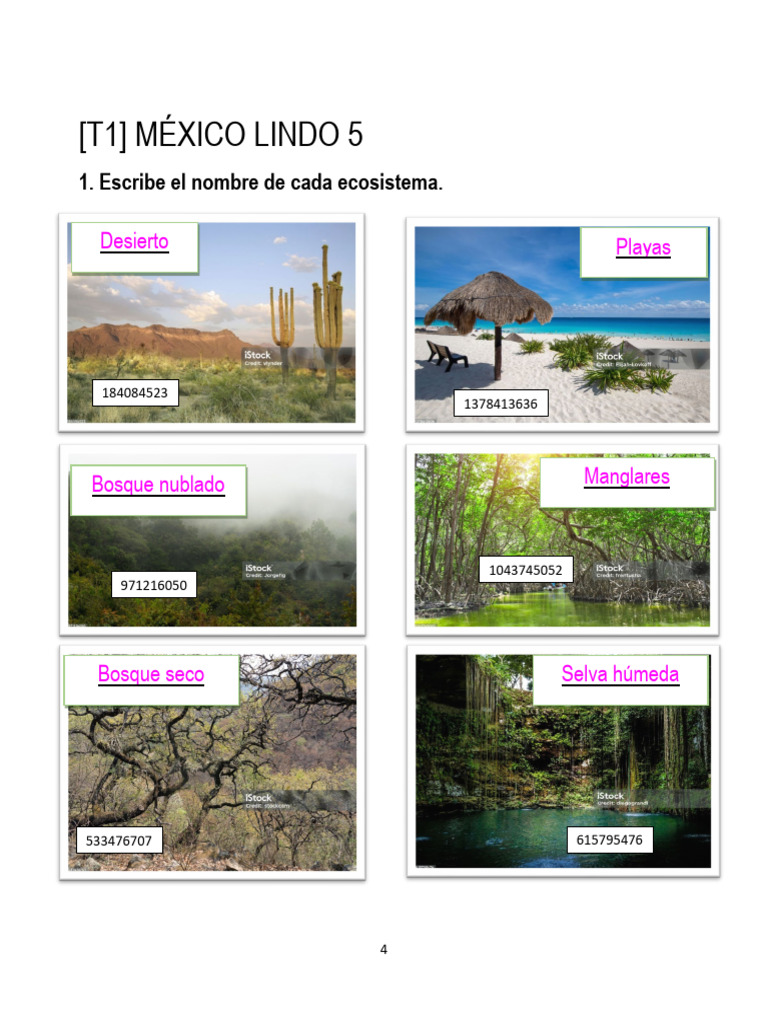 Ecosistemas de México para Niños | PDF | Selva | Desierto