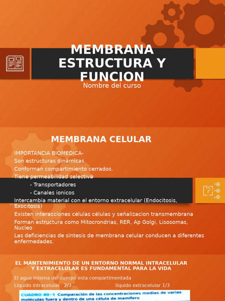 Estructura y Función de la Membrana Celular | PDF | Membrana biológica ...