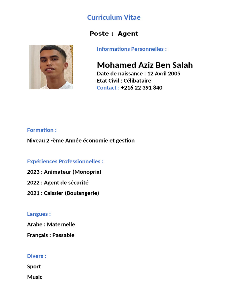 CV de Mohamed Aziz Ben Salah | PDF