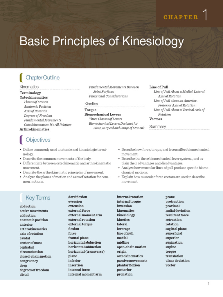 Anatomical Terms Of Motion Biology Diagrams