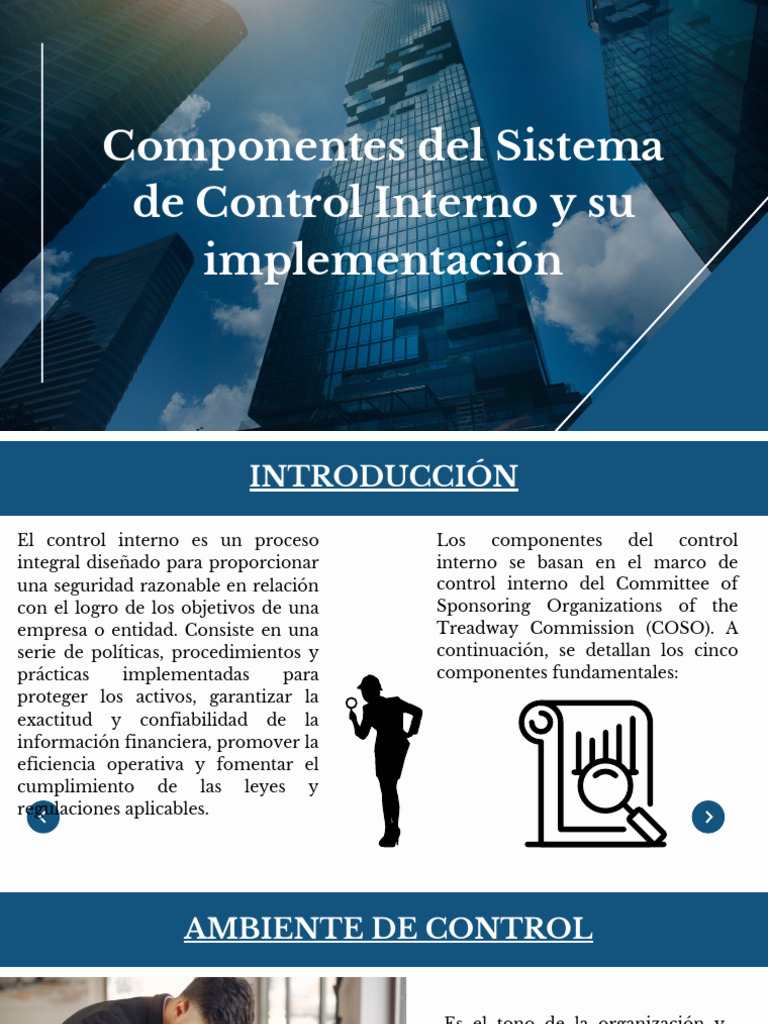 Componentes Del Sistema de Control Interno y Su Implementación | PDF ...