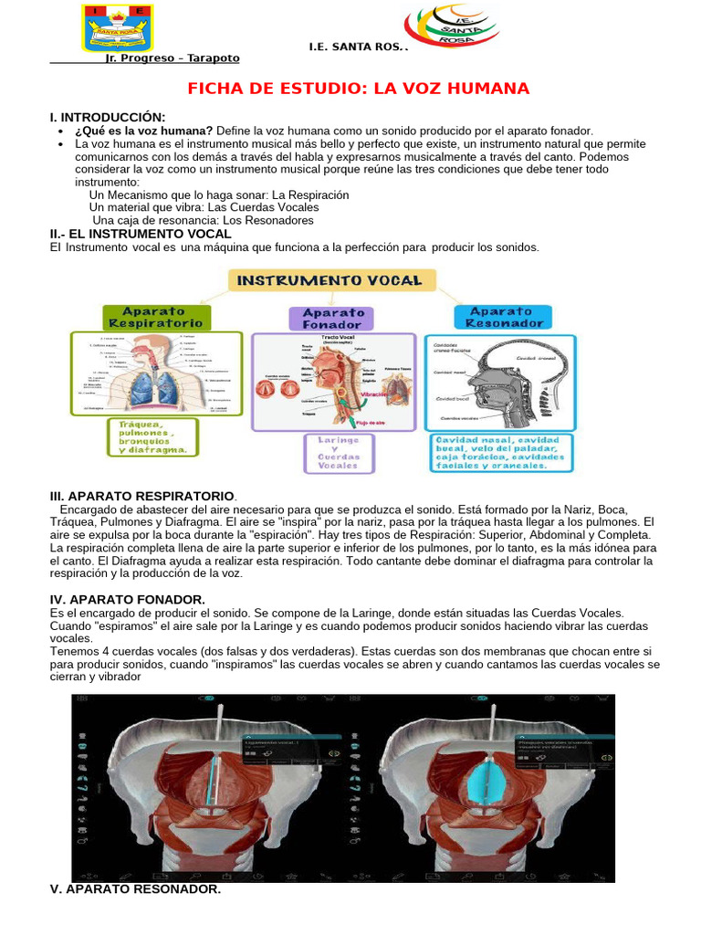 Anatomía y Clasificación de la Voz Humana | PDF | Voz humana | Sonido