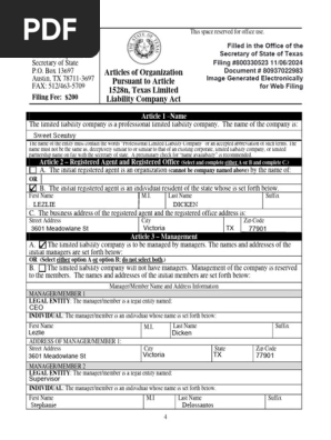 SS Article of Organization