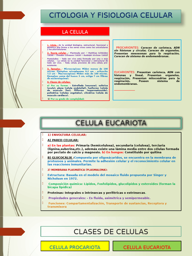 Citologia y Funcion Celular | PDF | Citoplasma | Biología Celular)