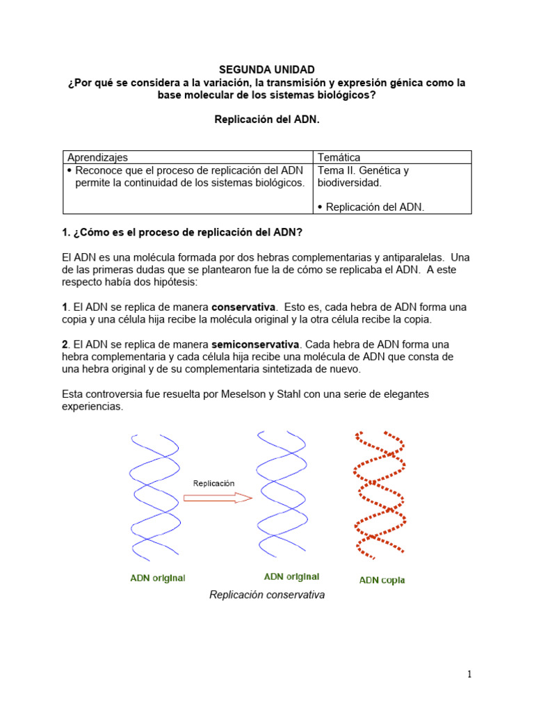 Plan de Clase-Replicación 2025-1 | PDF | Replicación De Adn | Adn