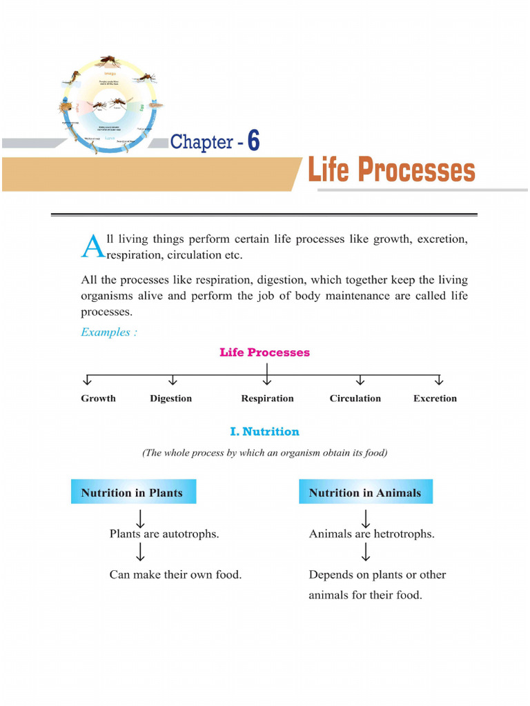 class-10th-life-process-pdf