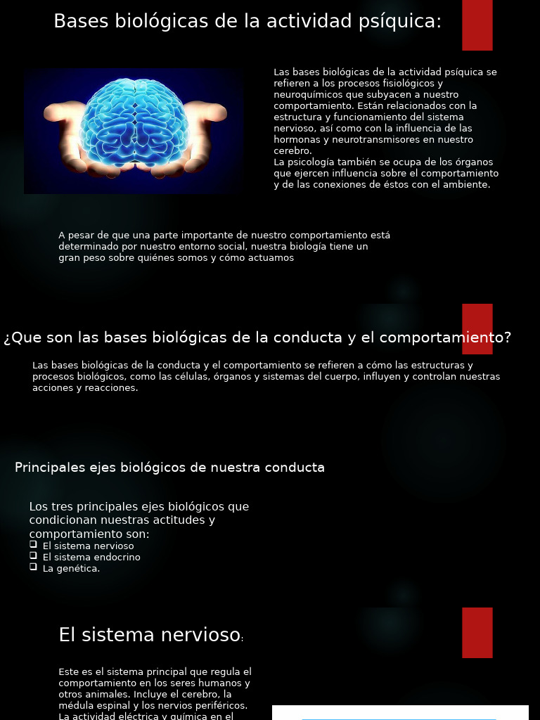 Bases Biologicos de La Actividad Psiquica | PDF | Conciencia | Sistema ...