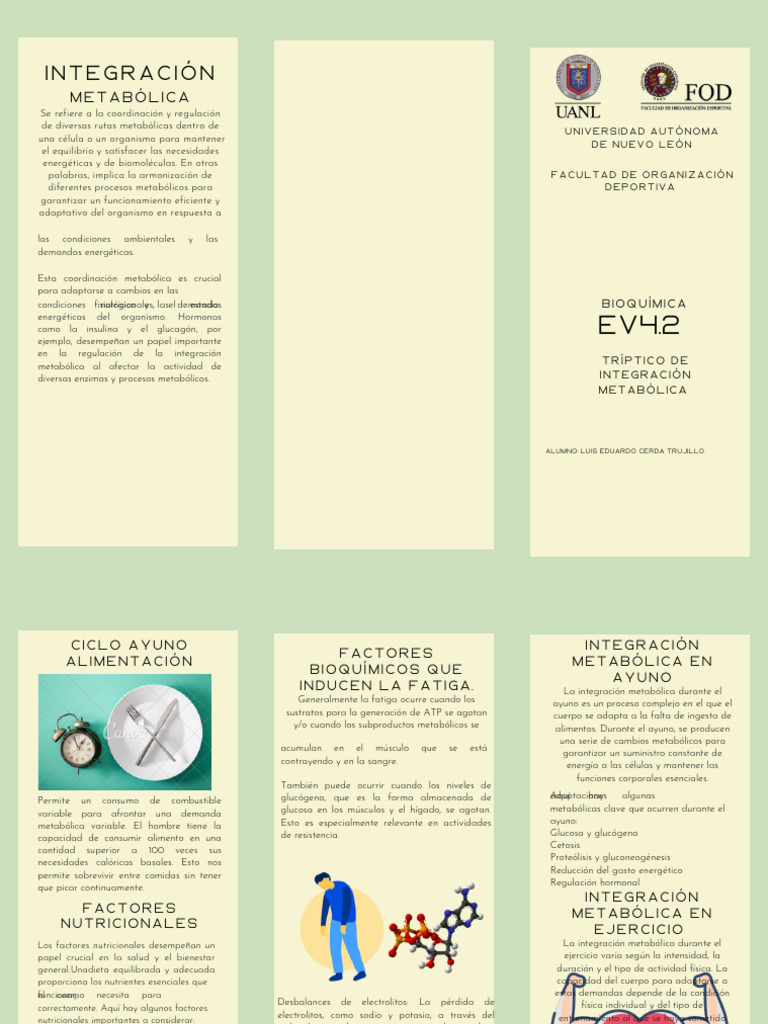 Ev4 Bioquímica OAVJ DECA NARB RCAG - PDF - 20241111 - 204146 - 0000 ...
