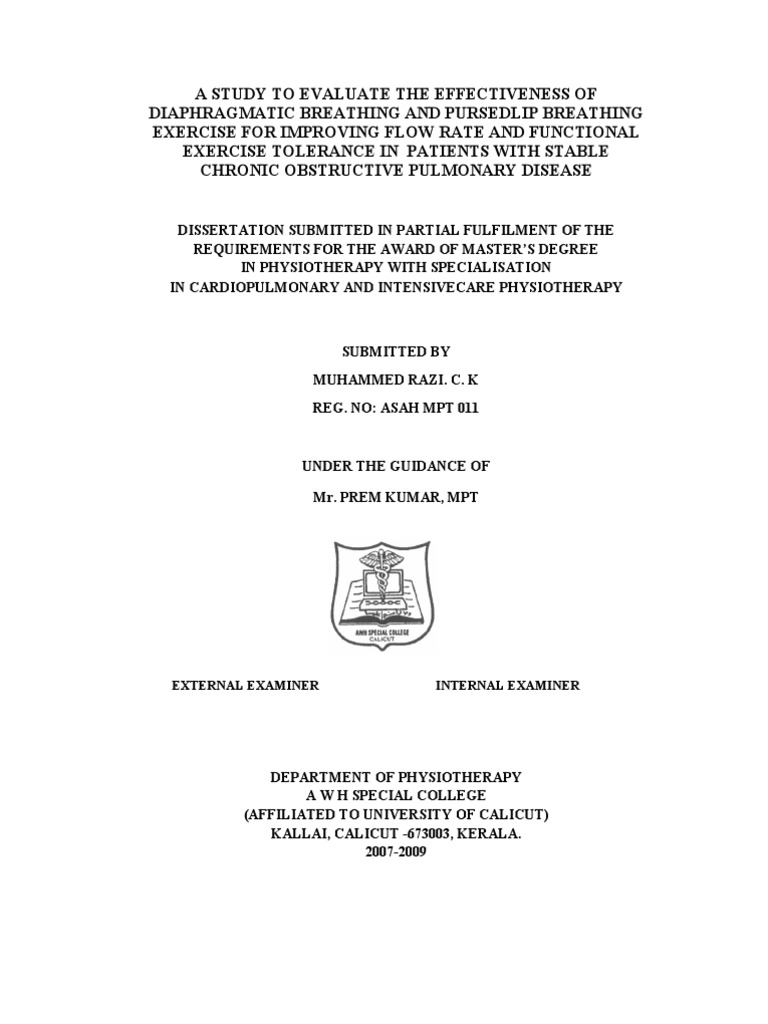 What is a dissertation image