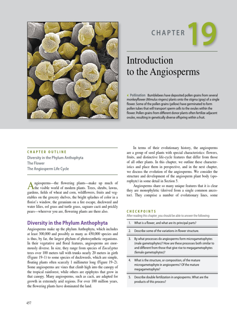 Angiosperm Diversity & Features | PDF | Flowers | Pollen
