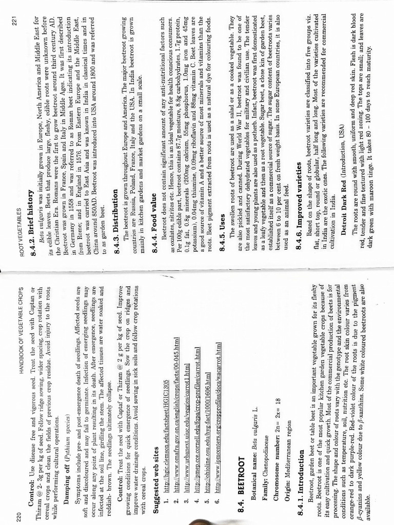 Beet Root 20-Nov-2023 19-23-32 | PDF