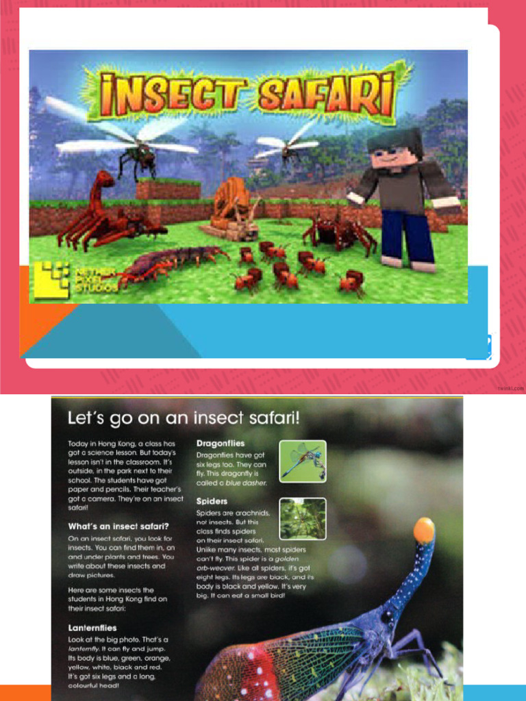 Bug's Savanna Adventure: KS1 Game | PDF | Foreign Language Studies ...