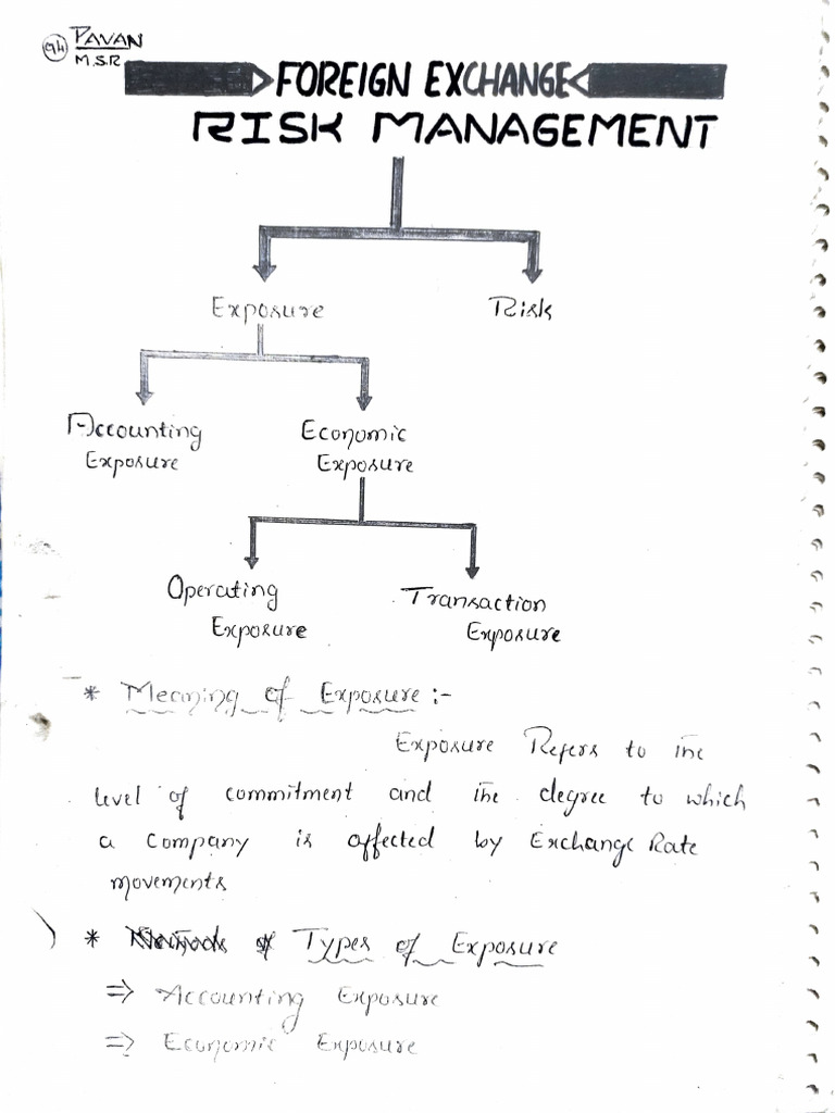 Foreign Exchange Risk MGMT | PDF | Financial Markets | Economies