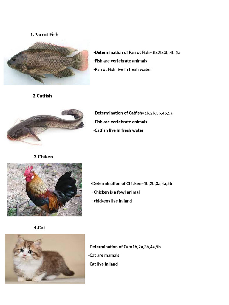 Tugas Determination Science Elmyr | PDF | Cooking, Food & Wine ...