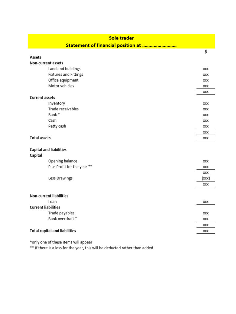 Sole Trader Financial Position Template | PDF