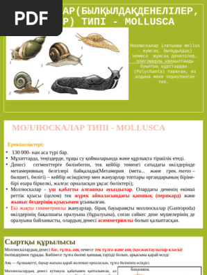 Үлкен өлшемді қыздармен әдемі секс