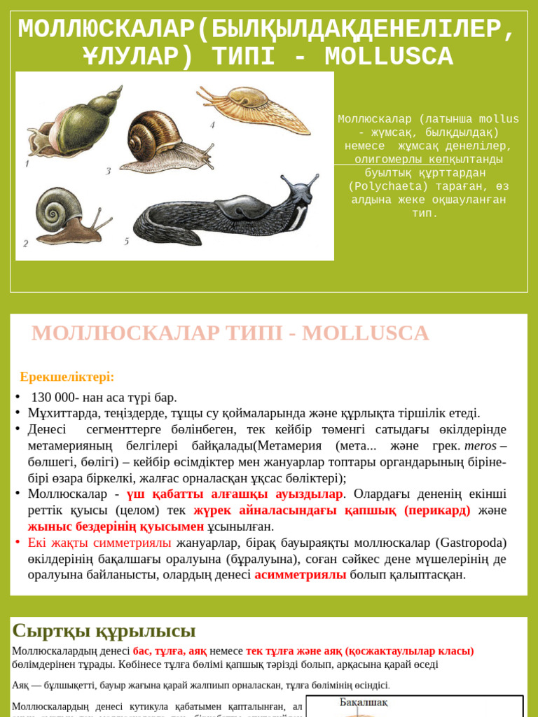 Менің әдемі күтушімдегі жалаңаш Ксюша