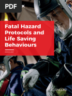 Rio Tinto Critical Risk Management Guide | PDF | Risk Management | Risk