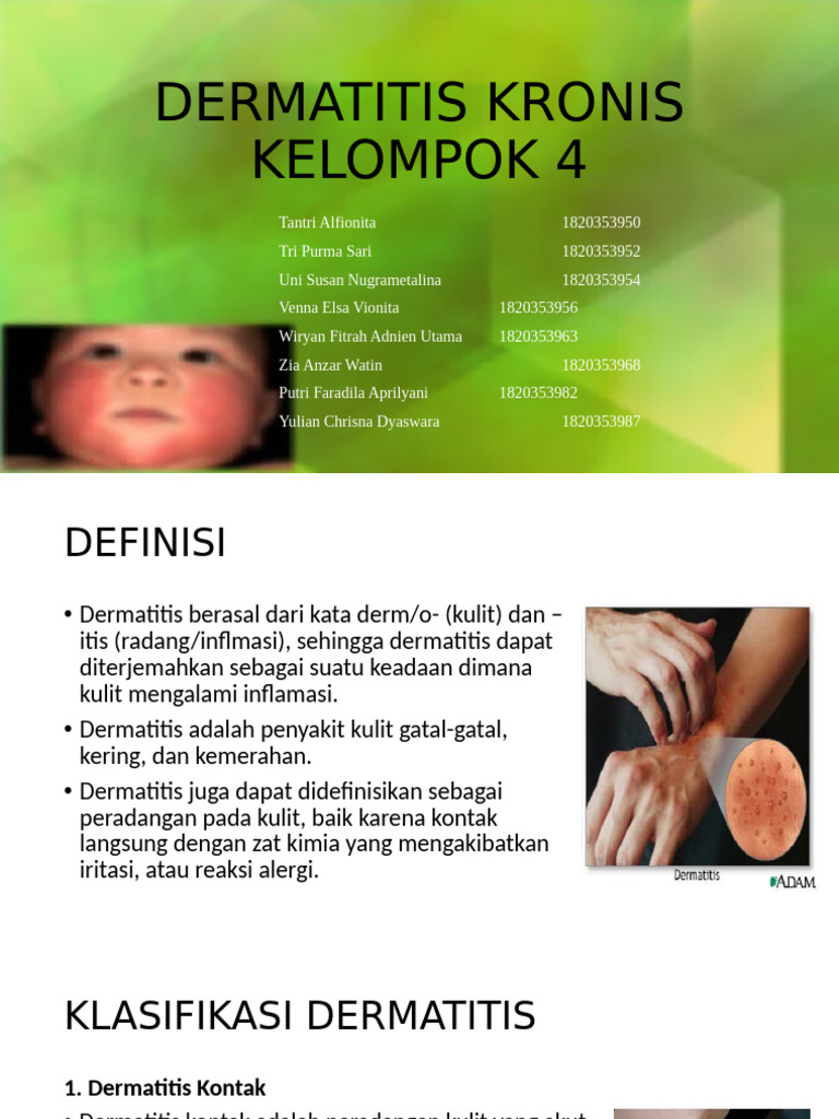 Dermatitis Kronis | PDF