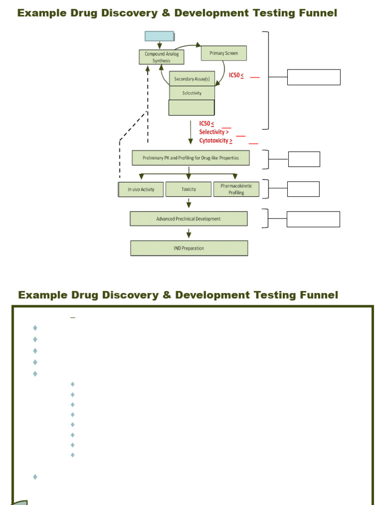 Drug Discovery Testing Funnel Overview | PDF | Drug Discovery ...