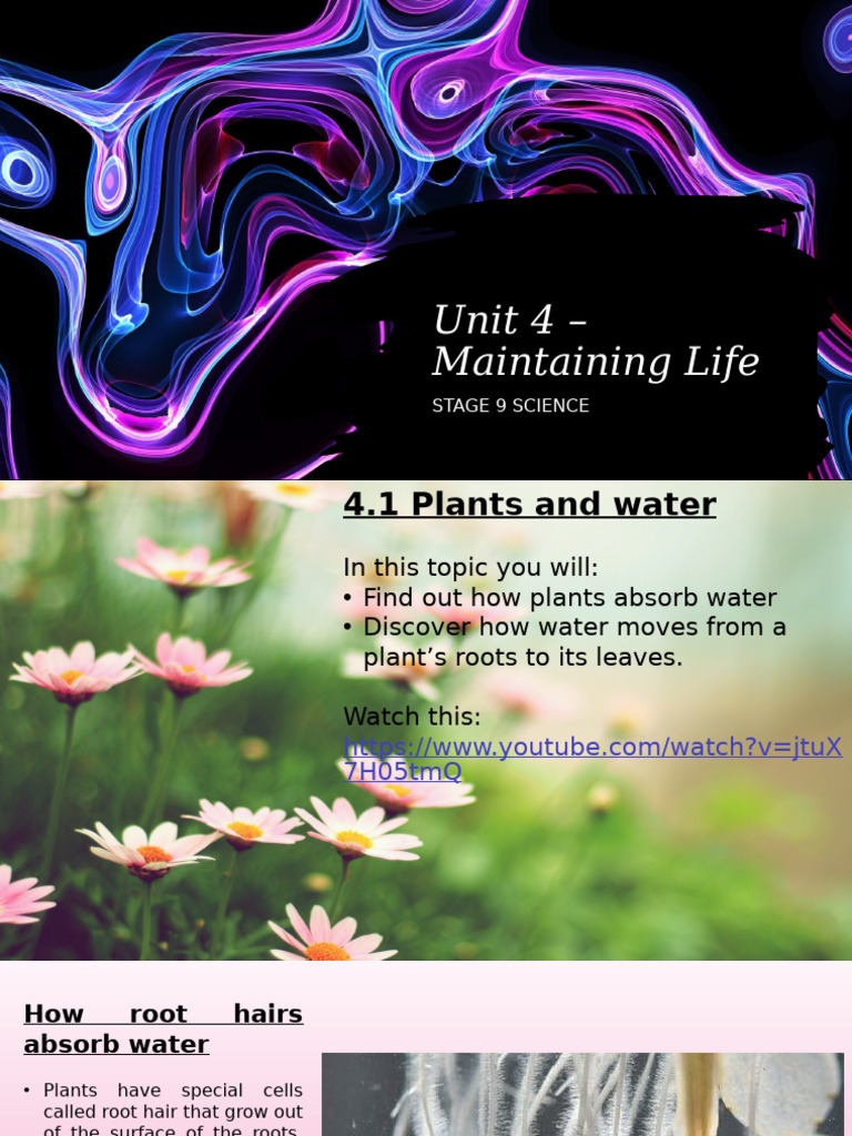 Essential Processes for Life Maintenance | PDF | Excretion | Root