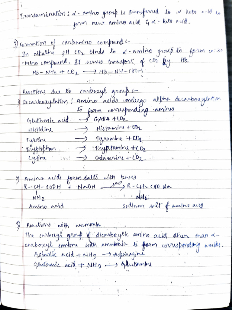 Amino Acid Compound Analysis Guide | PDF