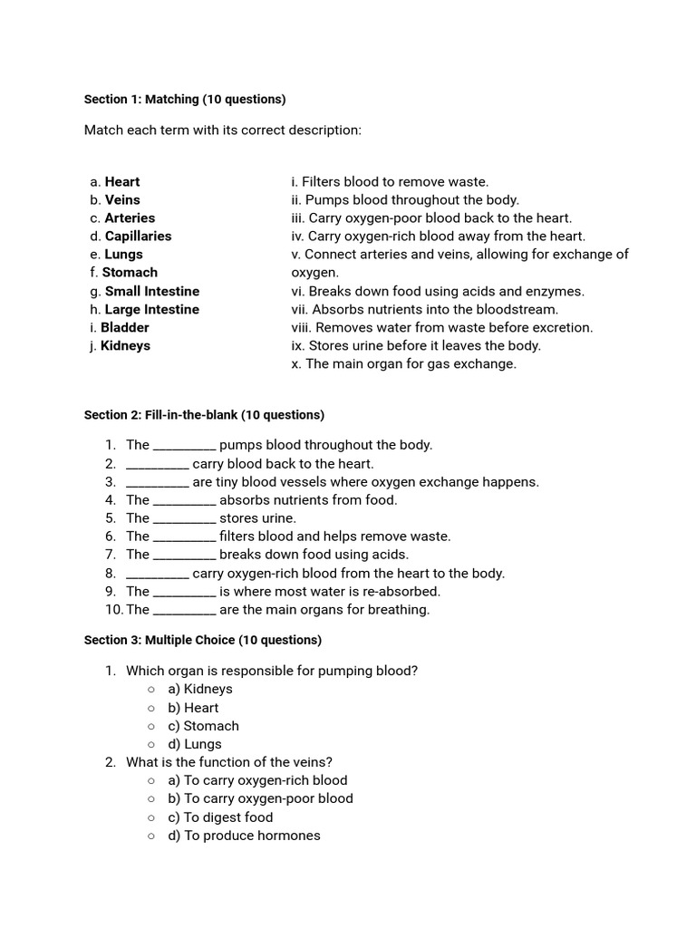 Test 2 | PDF | Blood | Lung