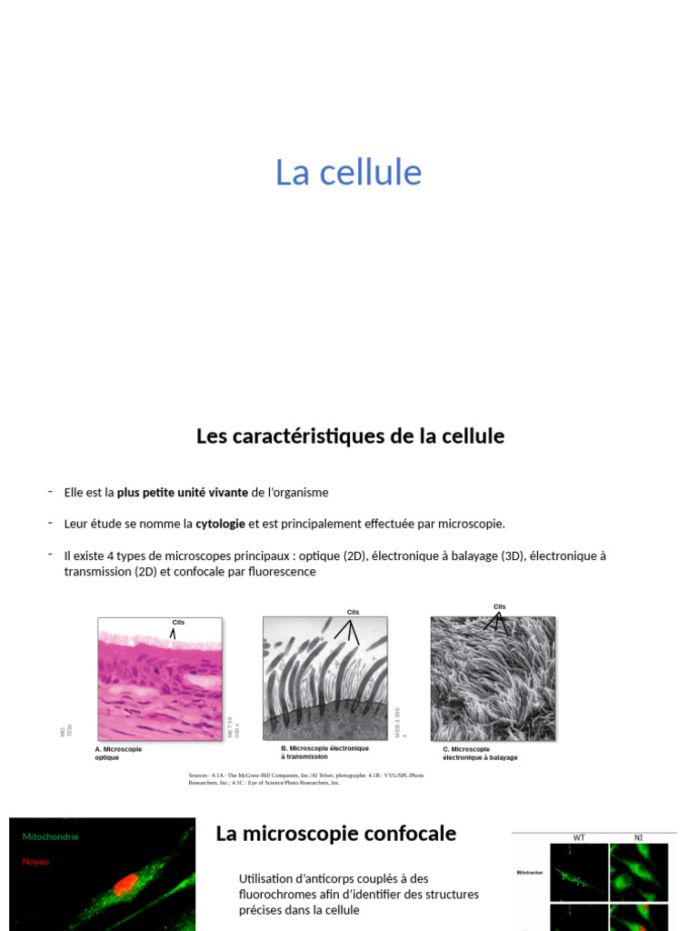 Cours 3 - La Cellule | PDF | Membrane cellulaire | ADN