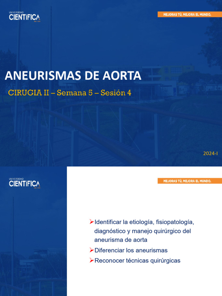 Manejo Quirúrgico de Aneurismas Aórticos | PDF | Especialidades Medicas ...