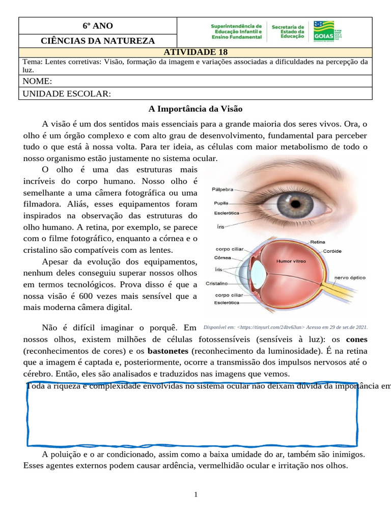 Atividade 18 6o CIE Lentes Corretivas | PDF | Olho | Sistema visual