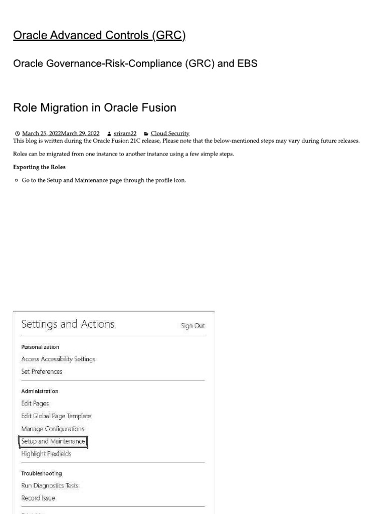 How To Migrate Custom Role | PDF