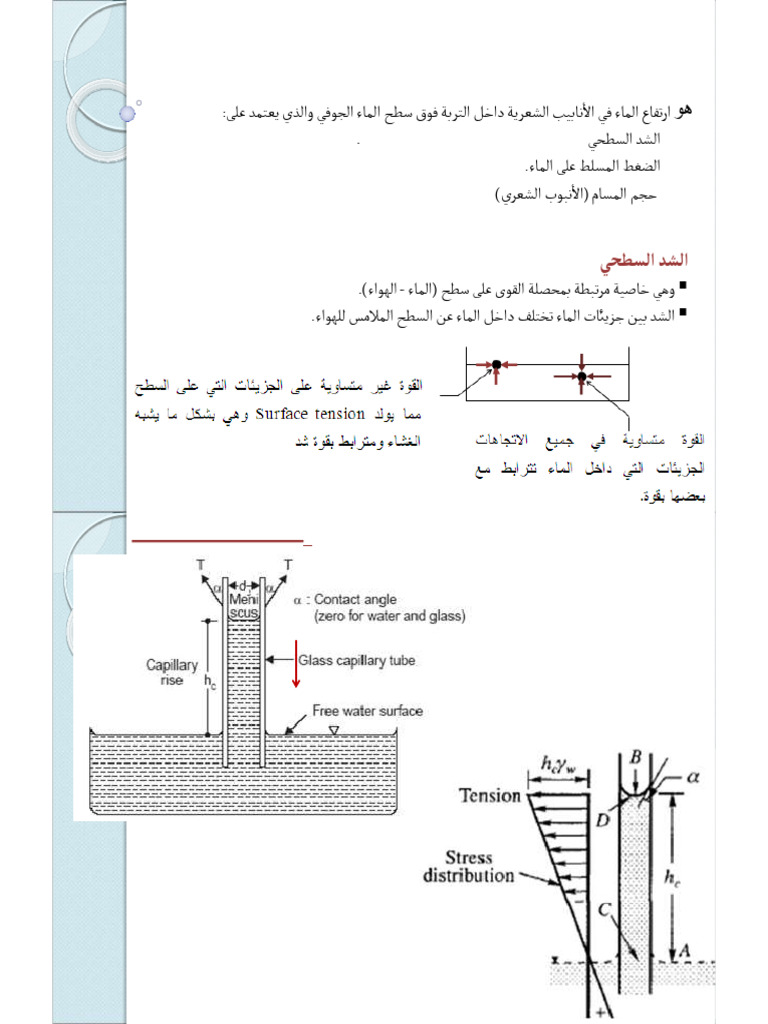 5 Capillary Rise | PDF