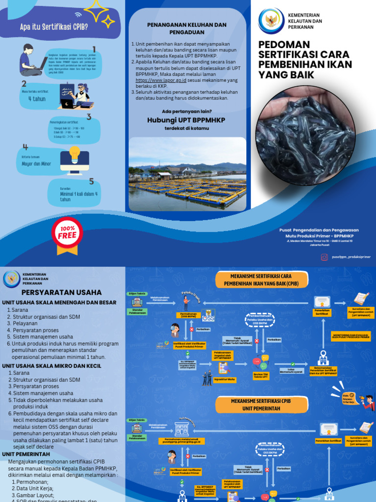 CPIB | PDF