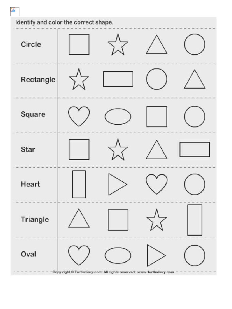 Shapes | PDF
