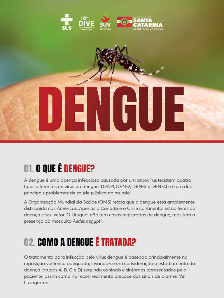 Dengue-o-que-fazer | PDF | Medicina Clínica | Ciências da Saúde