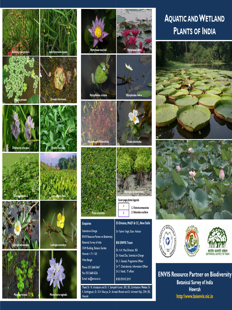 Aquatic and Wetland Plants of India | PDF | Wetland | Aquatic Ecosystem