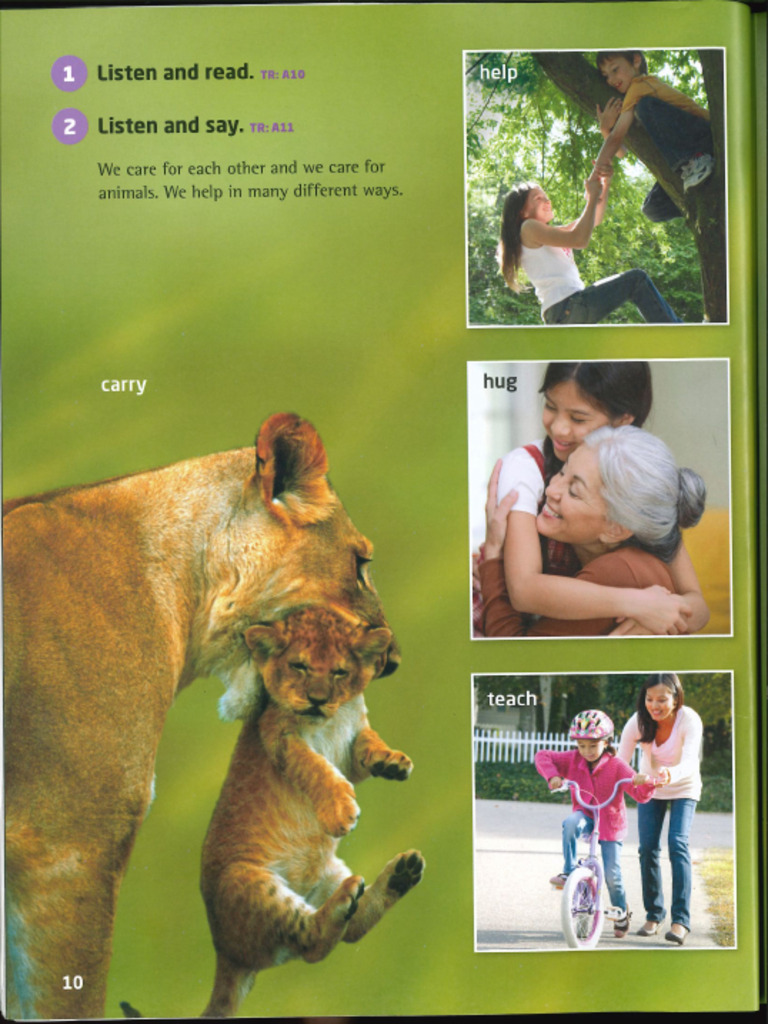 Our World 3. Unit 1 | PDF