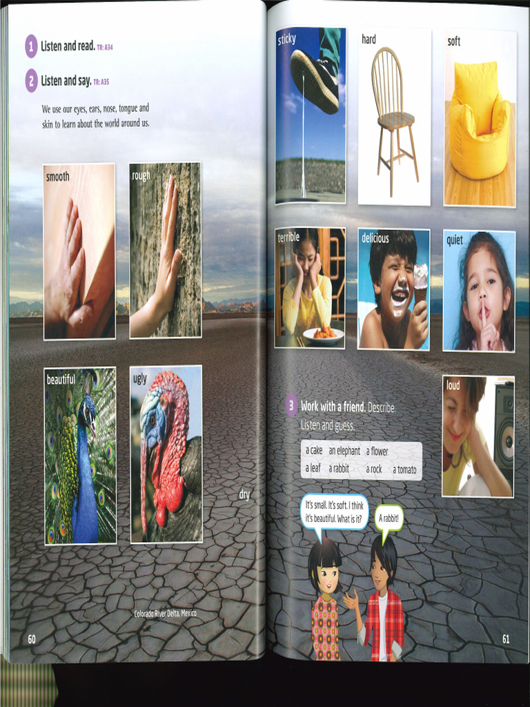 Our World 3. Unit 4 | PDF