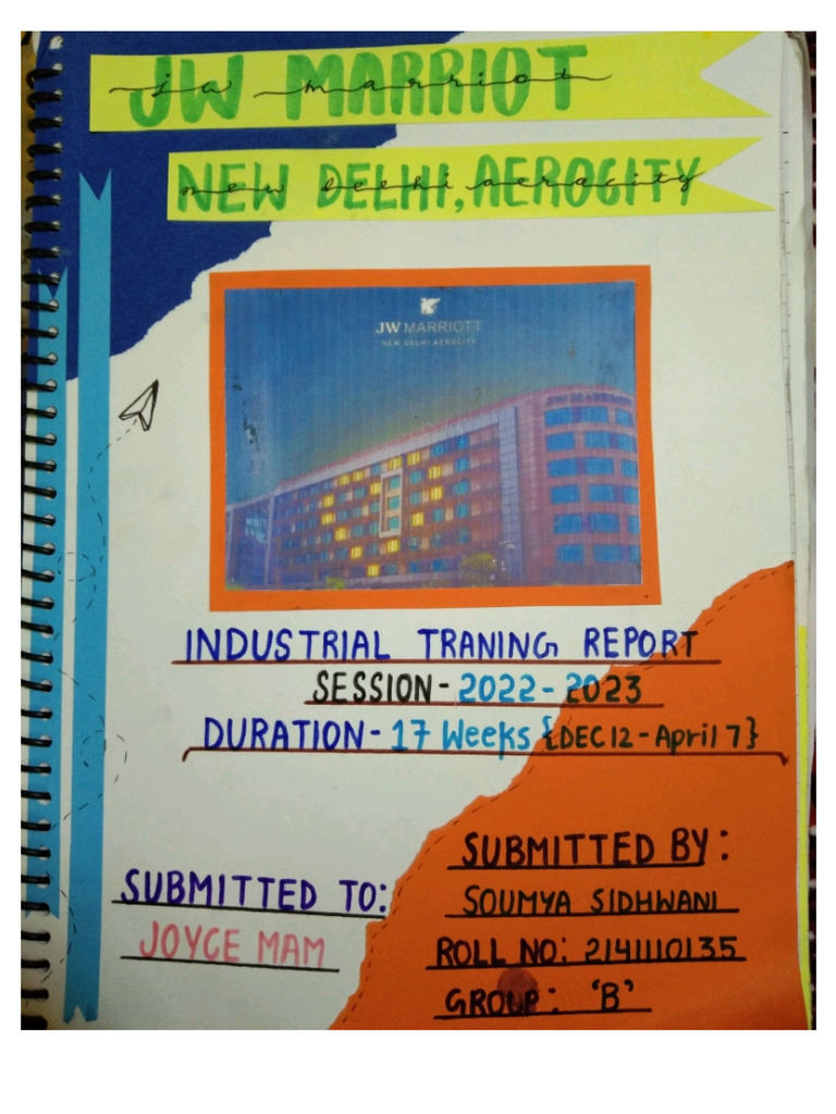 Soumya IT Report File | PDF