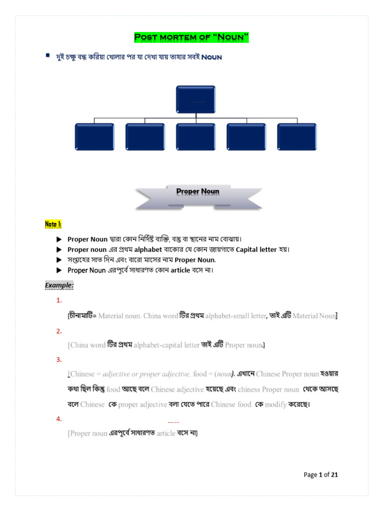 Noun | PDF
