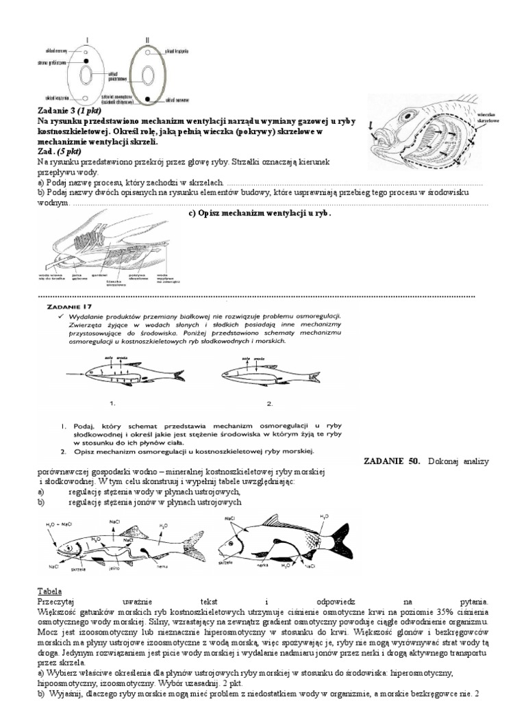 Różnorodność Bezkręgowców Sprawdzian Biologia Na Czasie Odpowiedzi