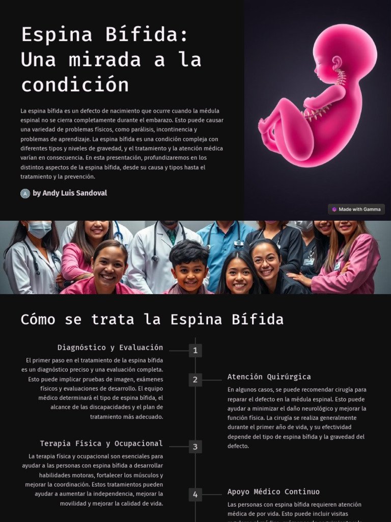 Espina Bifida Una Mirada A La Condicion | PDF | Medicina CLINICA | Medicina