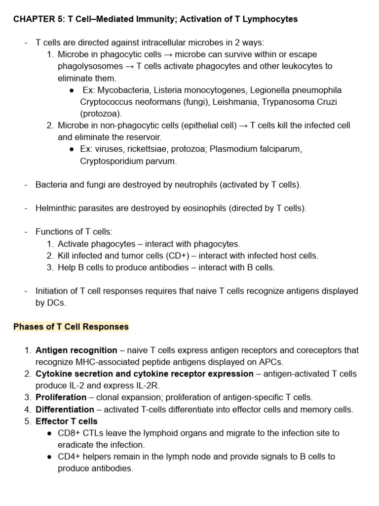 T Cell Activation and Immune Response | PDF | T Cell | Cytotoxic T Cell