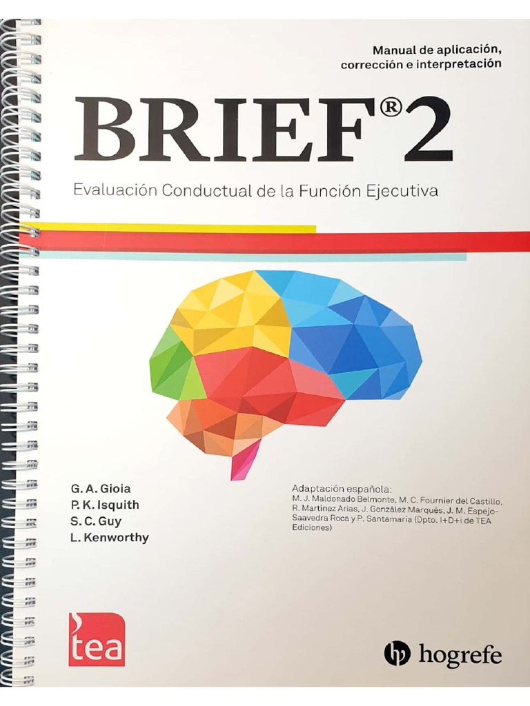 Brief 2 Manual de Aplicación | PDF