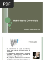 Aula. Habilidade Gerenciais