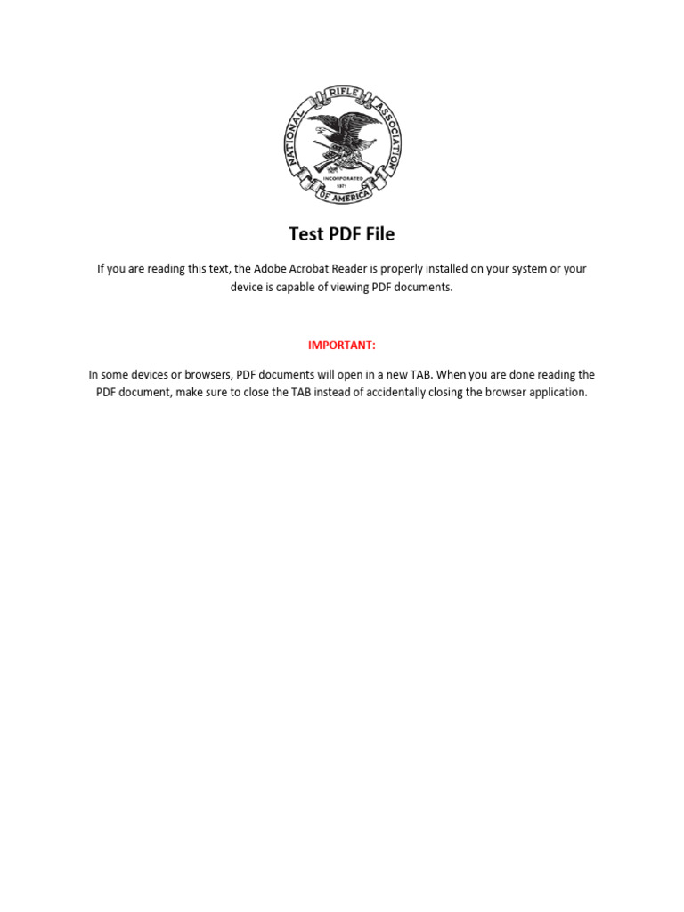 TEST PDF File | PDF