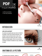Guía Práctica de Extensiones de Pestañas | PDF | Salud y bienestar