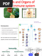 Immune System Structure and Functions | PDF | Lymphocyte | Lymphatic System