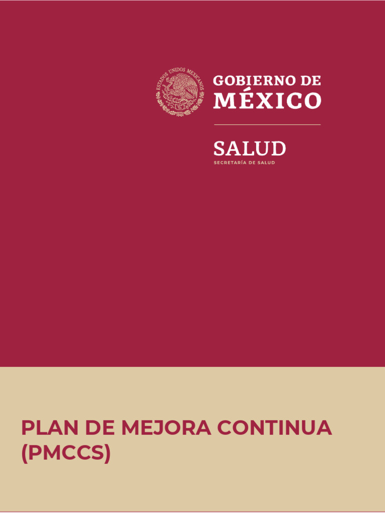 Plan de Mejora Continua en Salud 2024 | PDF | Seguridad del paciente ...